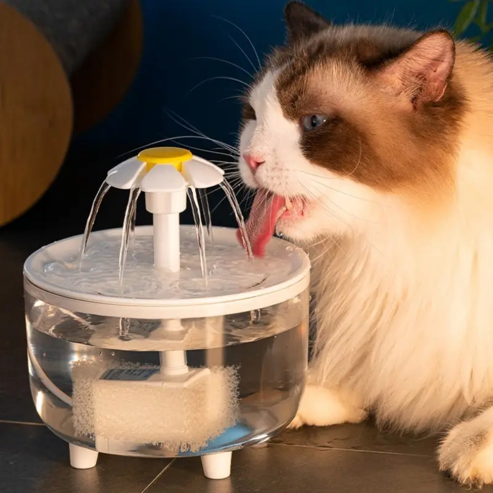 Automatic Water Dispenser for Pets Water Fountain Automatic Cat Drink Bowl