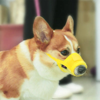 Anti Barking Dog Muzzle for Dogs